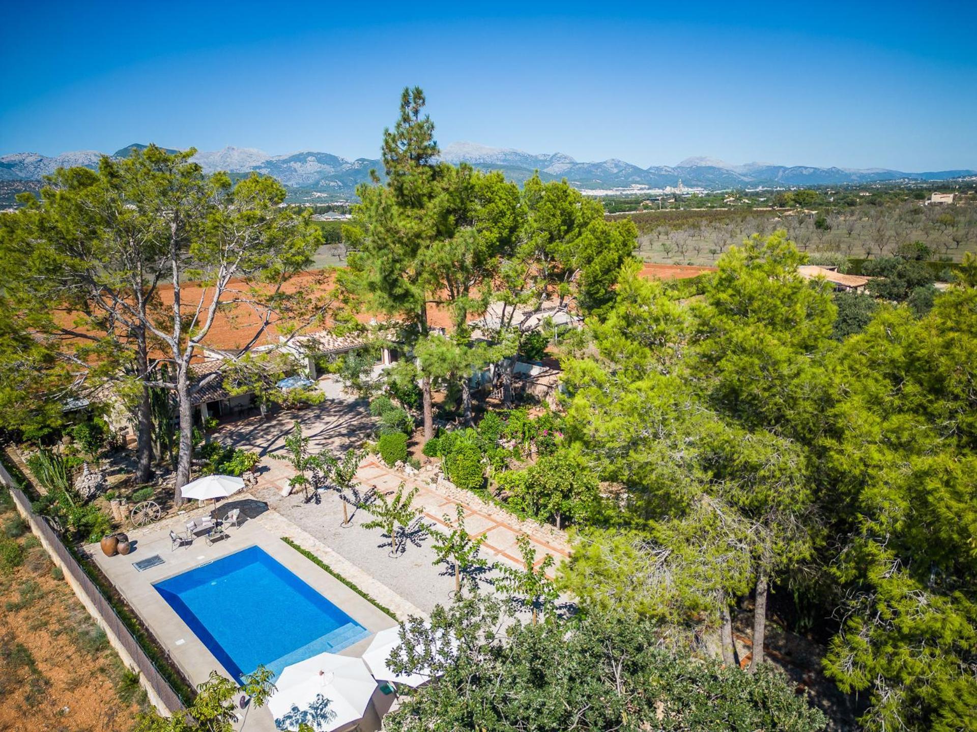 Ideal Mallorca - Davero *